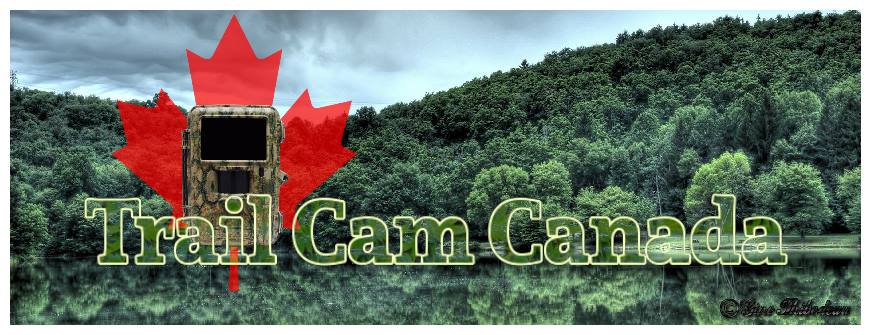 Nouveau Blog "Trail Cam Canada"