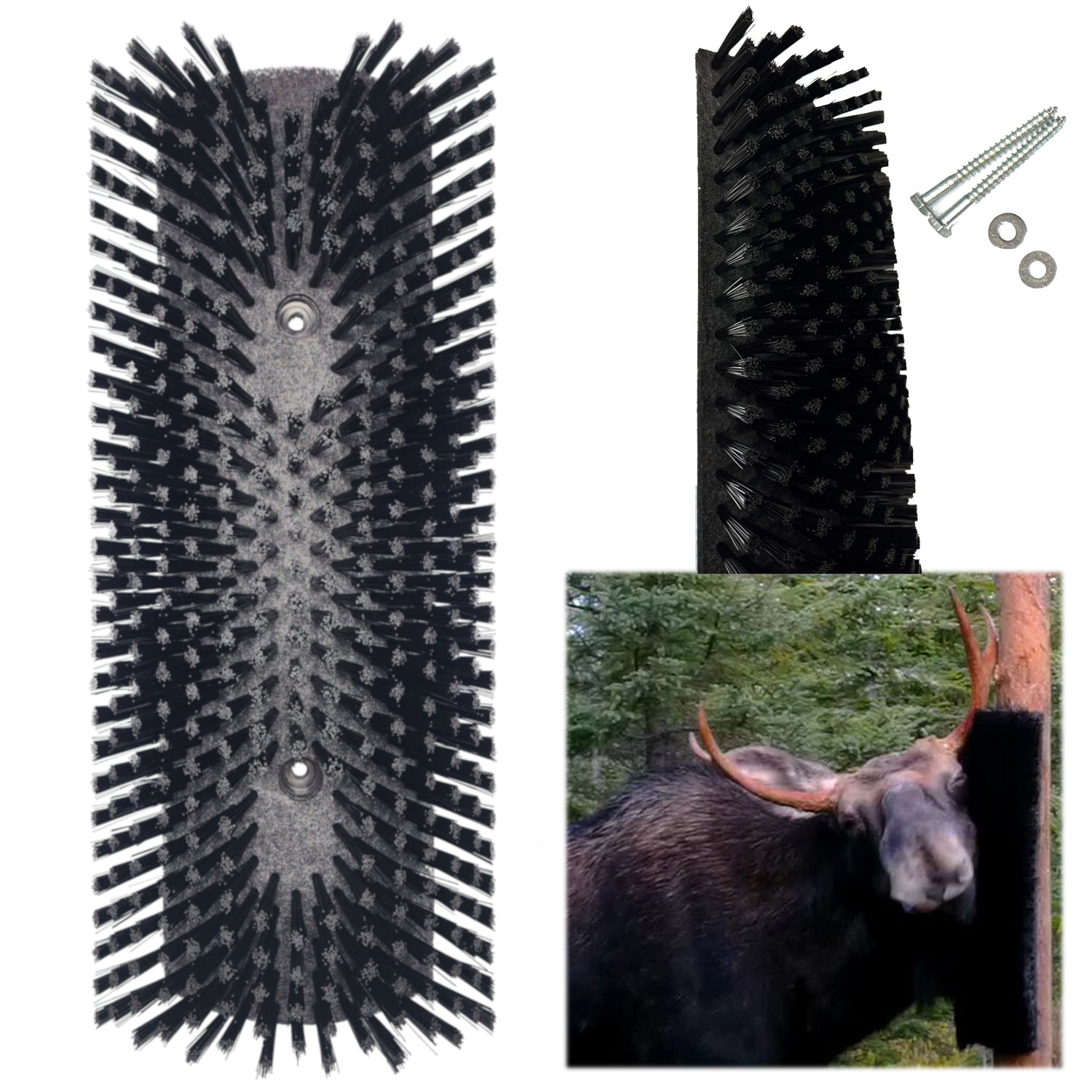 Brosse à orignal