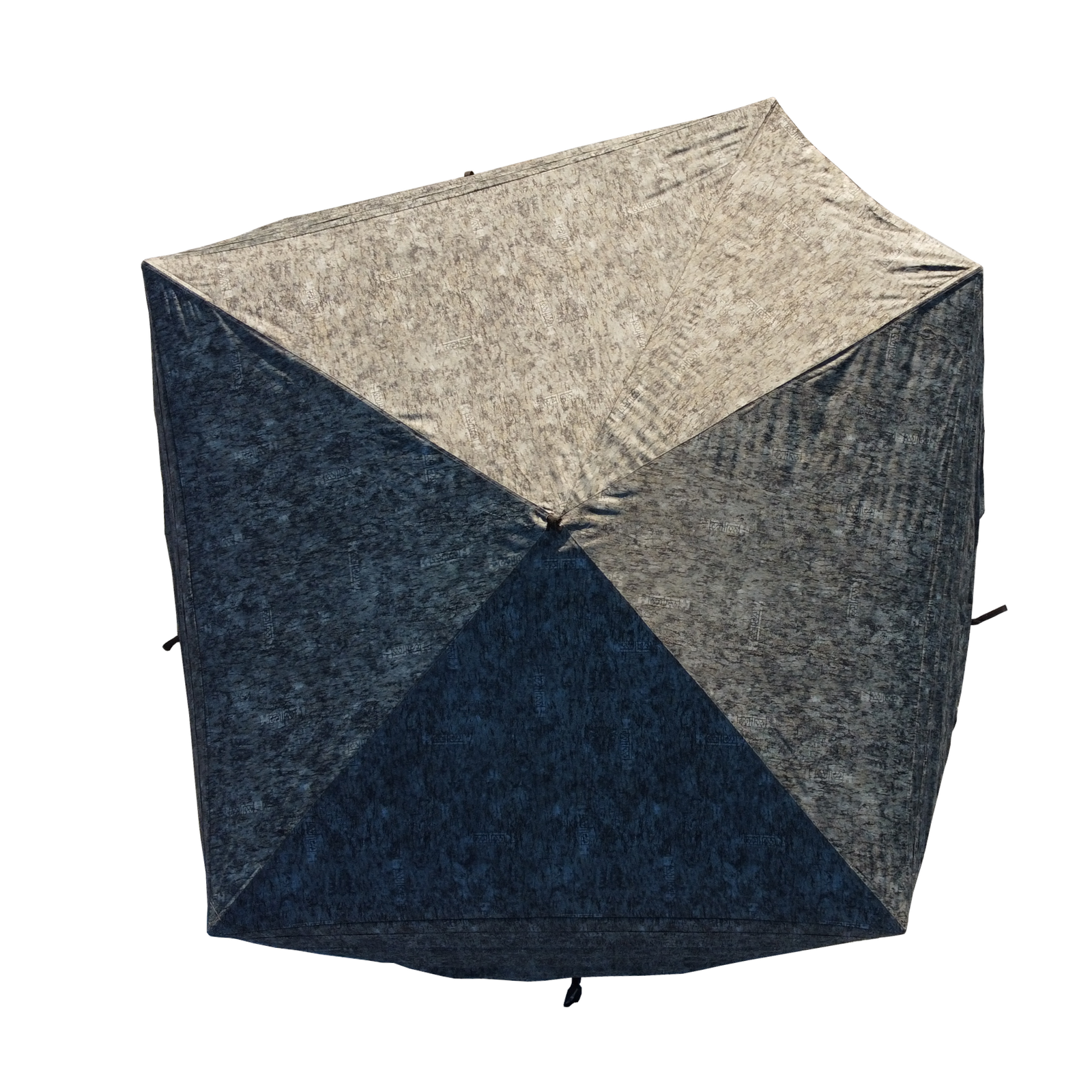 CACHE VISION5